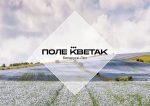 Поле-Кветак_main_3